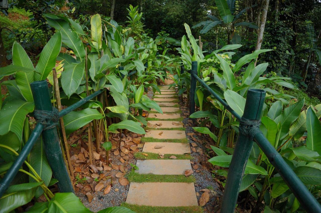 Ananterra Resort Wayanad Buitenkant foto